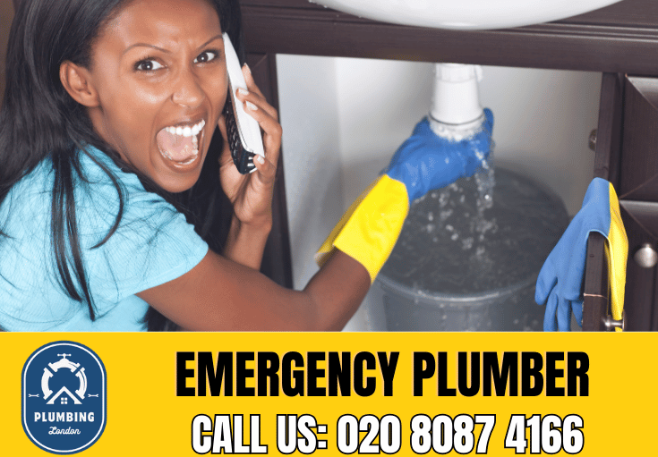 emergency plumber Ladbroke Grove