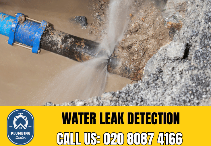 leak detection Ladbroke Grove